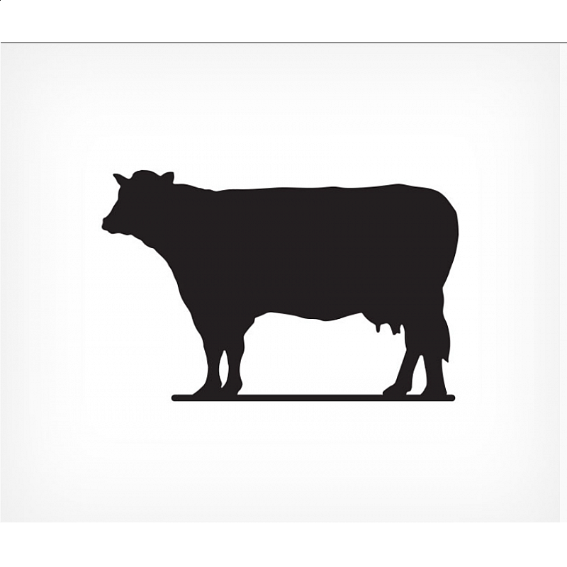 Čierna tabuľa v podobe kravy
